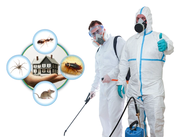 Schädlingsbekämpfung im Einsatz